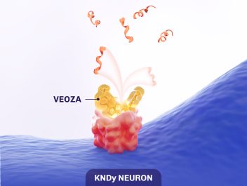 VEOZA™ (fezolinetant) inhibits binding of NKB to NK3R on the KNDy neuron