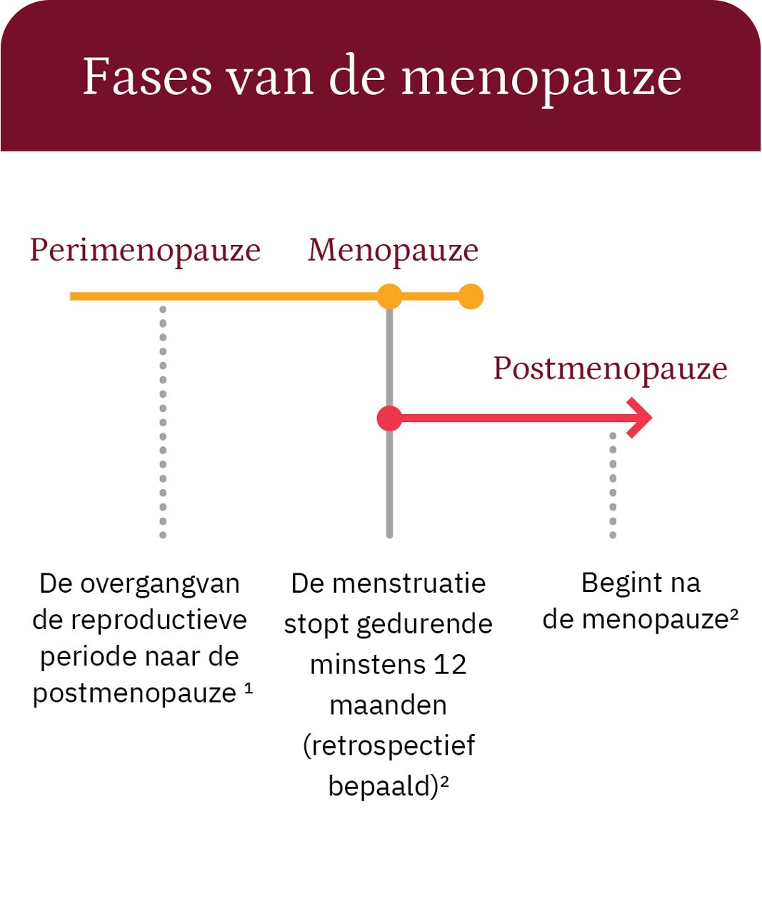 Line graph of the stages of menopause: perimenopause, menopause, and postmenopause.	Lijngrafiek van de stadia van de menopauze: perimenopauze, menopauze en postmenopauze.