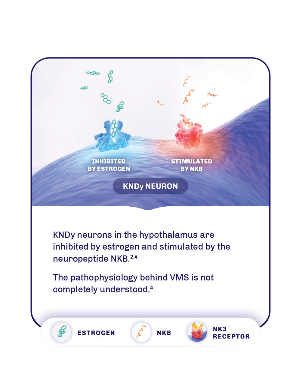 Woman on the beach with wind in her face. Refine how you treat menopausal VMS