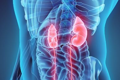 Nierentransplantation