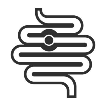 Adoptez une alimentation saine et riche en fibres