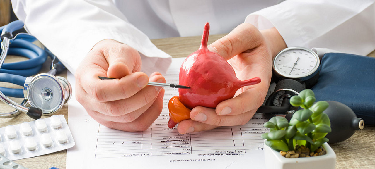 How the bladder works