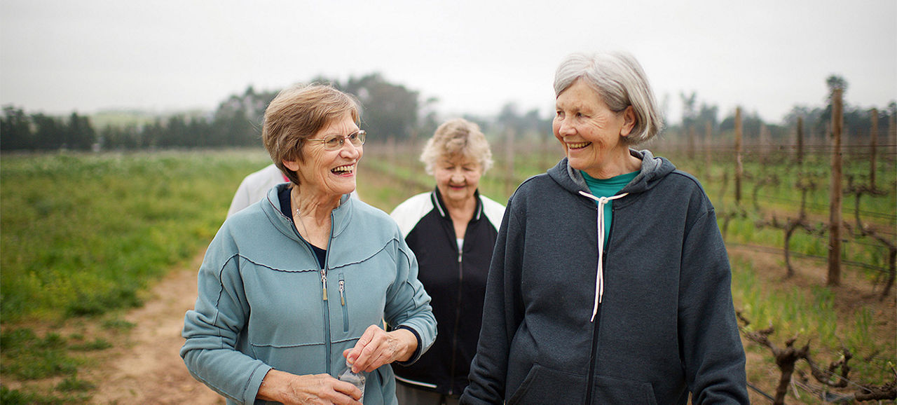 Four Active seniors women walking for exercise outdoors talking together on a misty morning in Stellenbosch South Africa