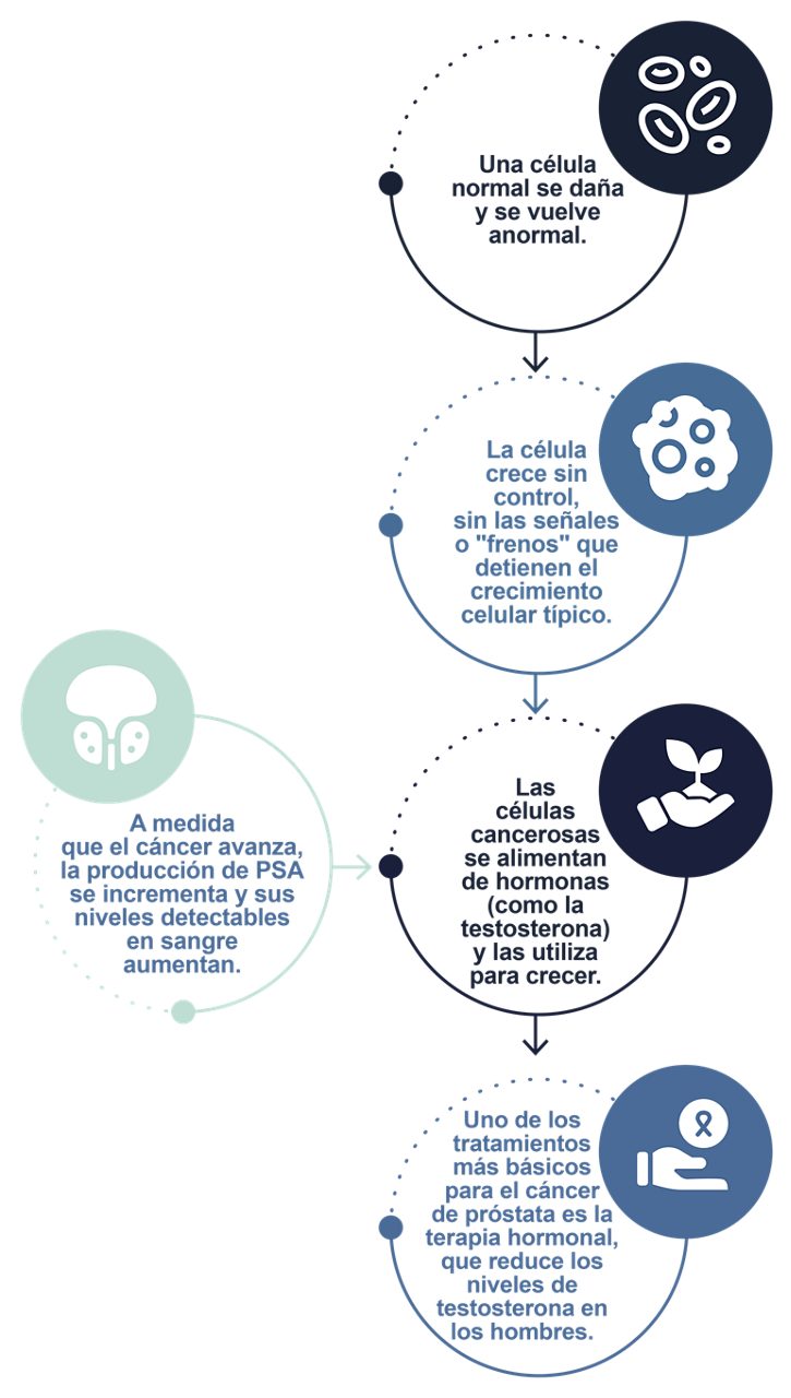 ¿Qué ocurre cuando se desarrolla cáncer de próstata?