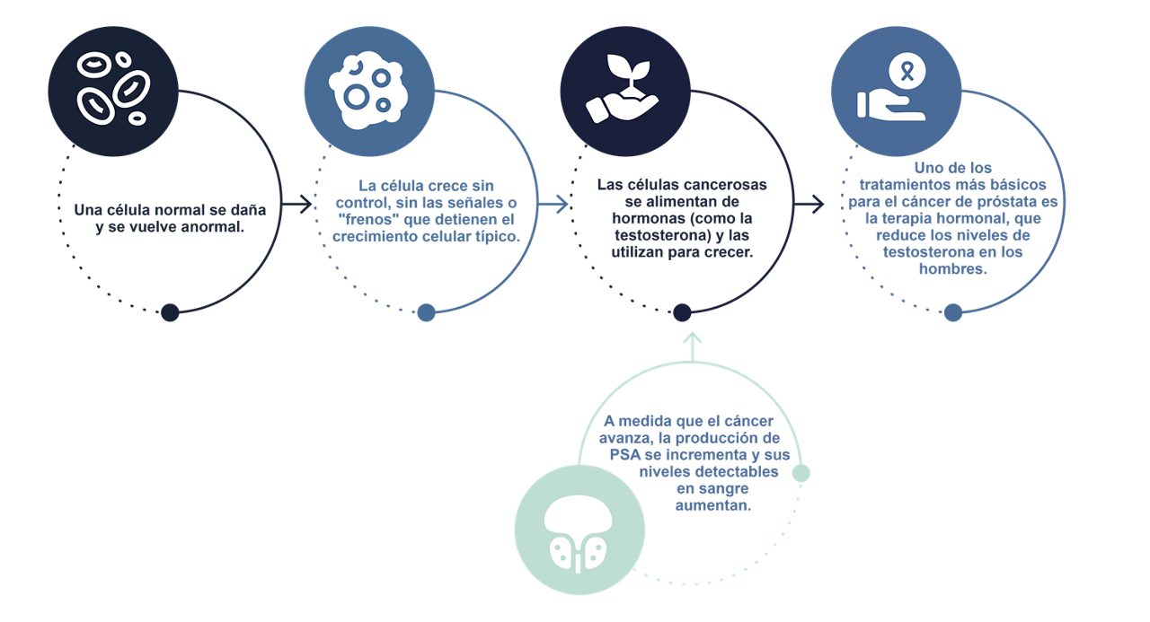 ¿Qué ocurre cuando se desarrolla cáncer de próstata?
