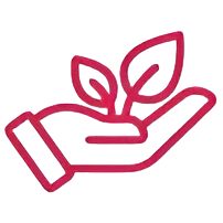 sustainbility in business practice