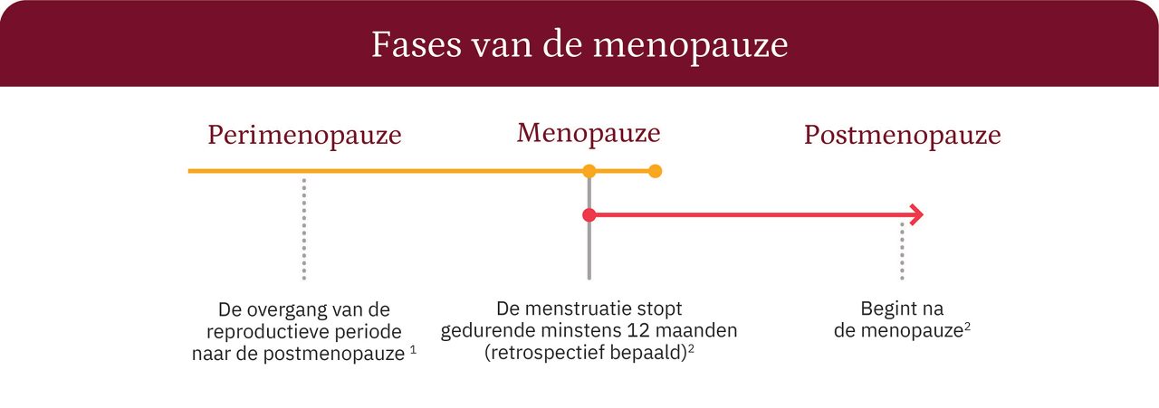 Lijngrafiek van de stadia van de menopauze: perimenopauze, menopauze en postmenopauze.