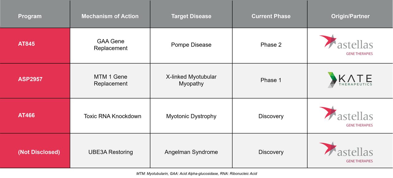 A red cell model illustrates Astellas’ focus on developing genetic medicines. A table illustrates Astellas’ pipeline for Genetic Regulation.