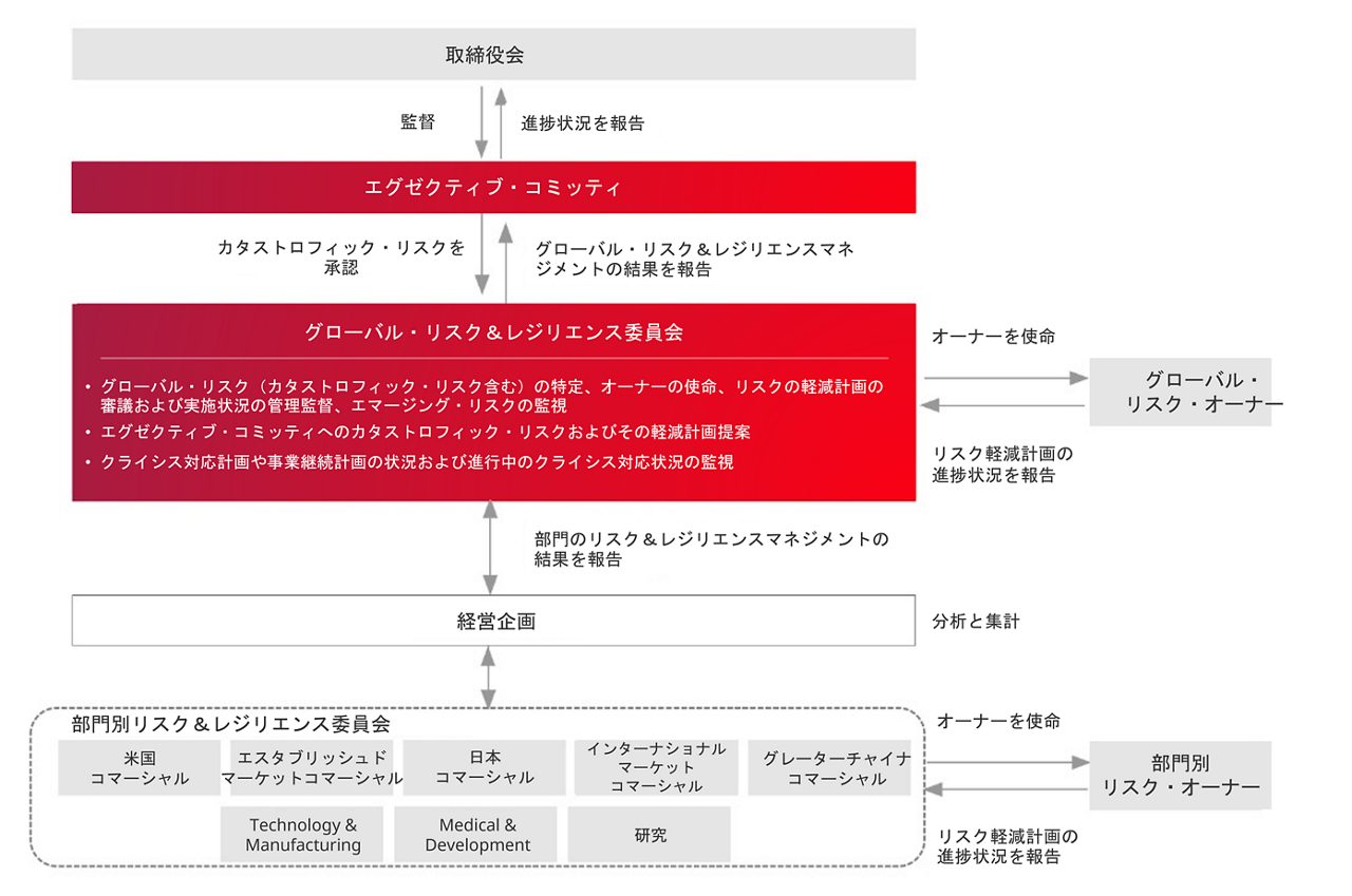 risk management graph