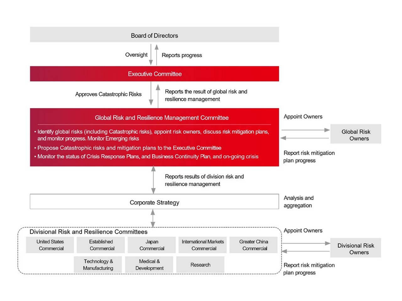 risk management graph