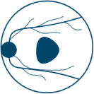 Small Baseline Lesions