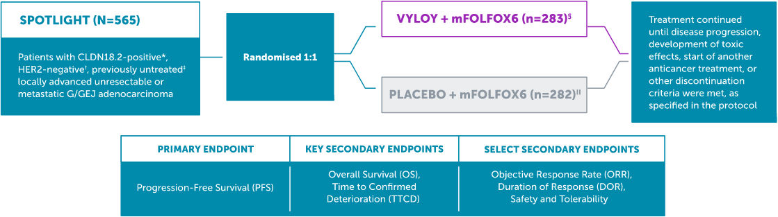spotlight graph 5 desktop