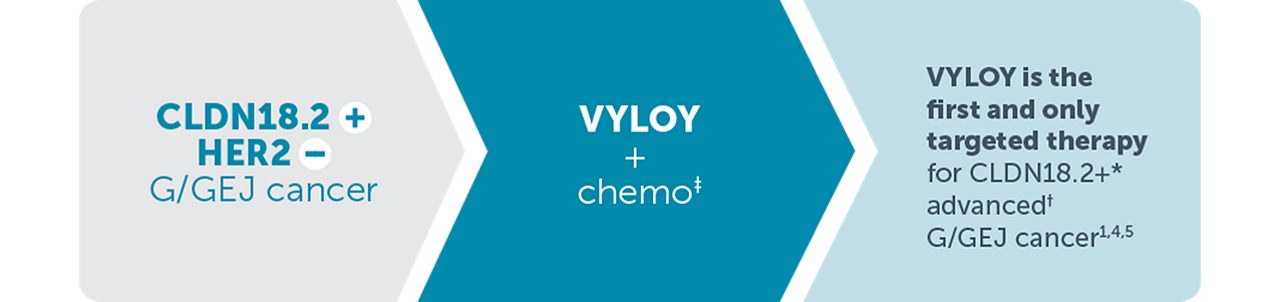 Image showing VYLOY + chemo is the first and only targeted therapy for advanced CLDN18.2+/HER2- G/GEJ cancer