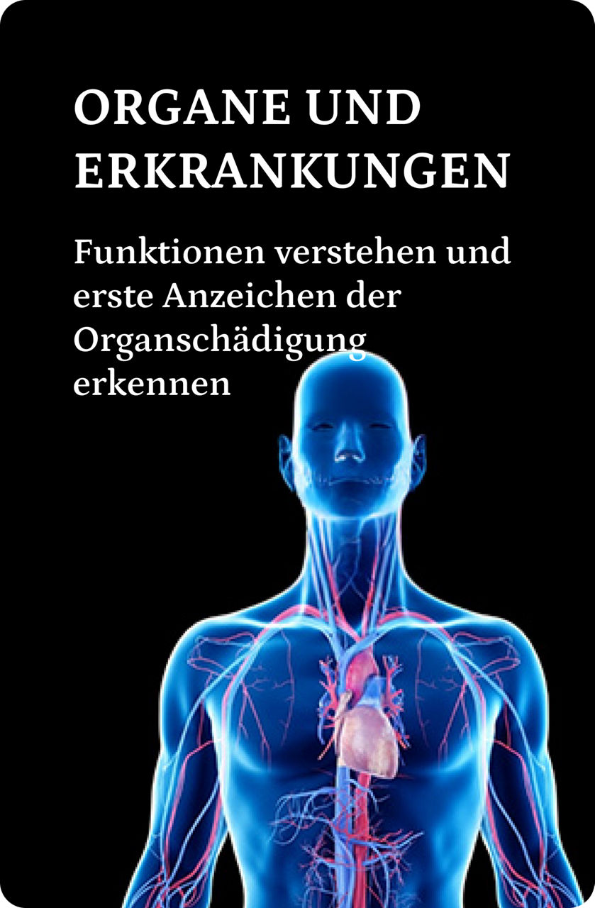 Digitale Illustration eines menschlichen Körpers mit hervorgehobenem Kreislaufsystem, das Venen, Arterien und das Herz vor einem schwarzen Hintergrund zeigt.