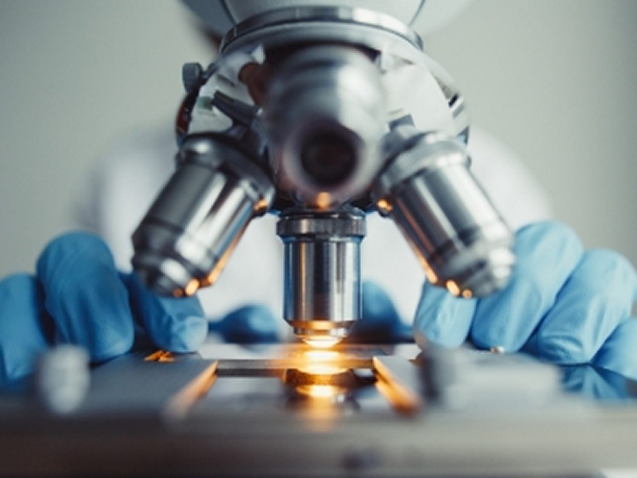 Geschichte und Eigenschaften von Tacrolimus