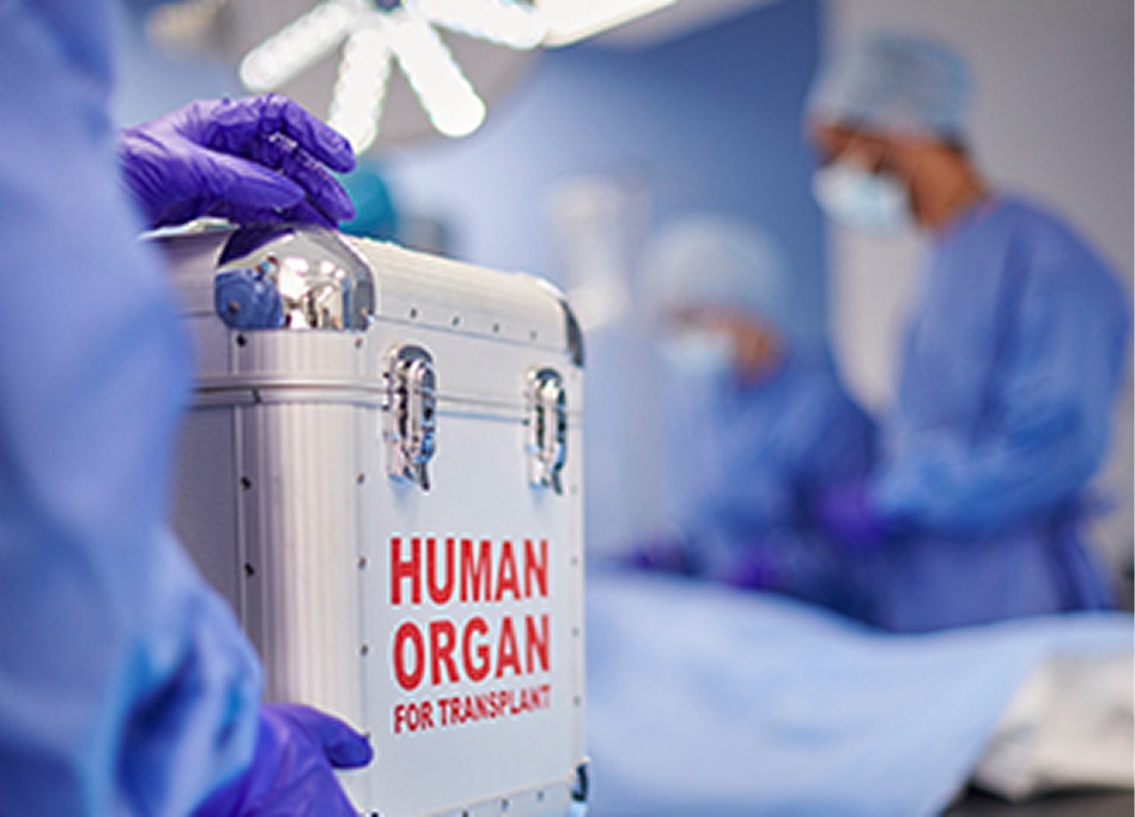 Postmortale Organspende