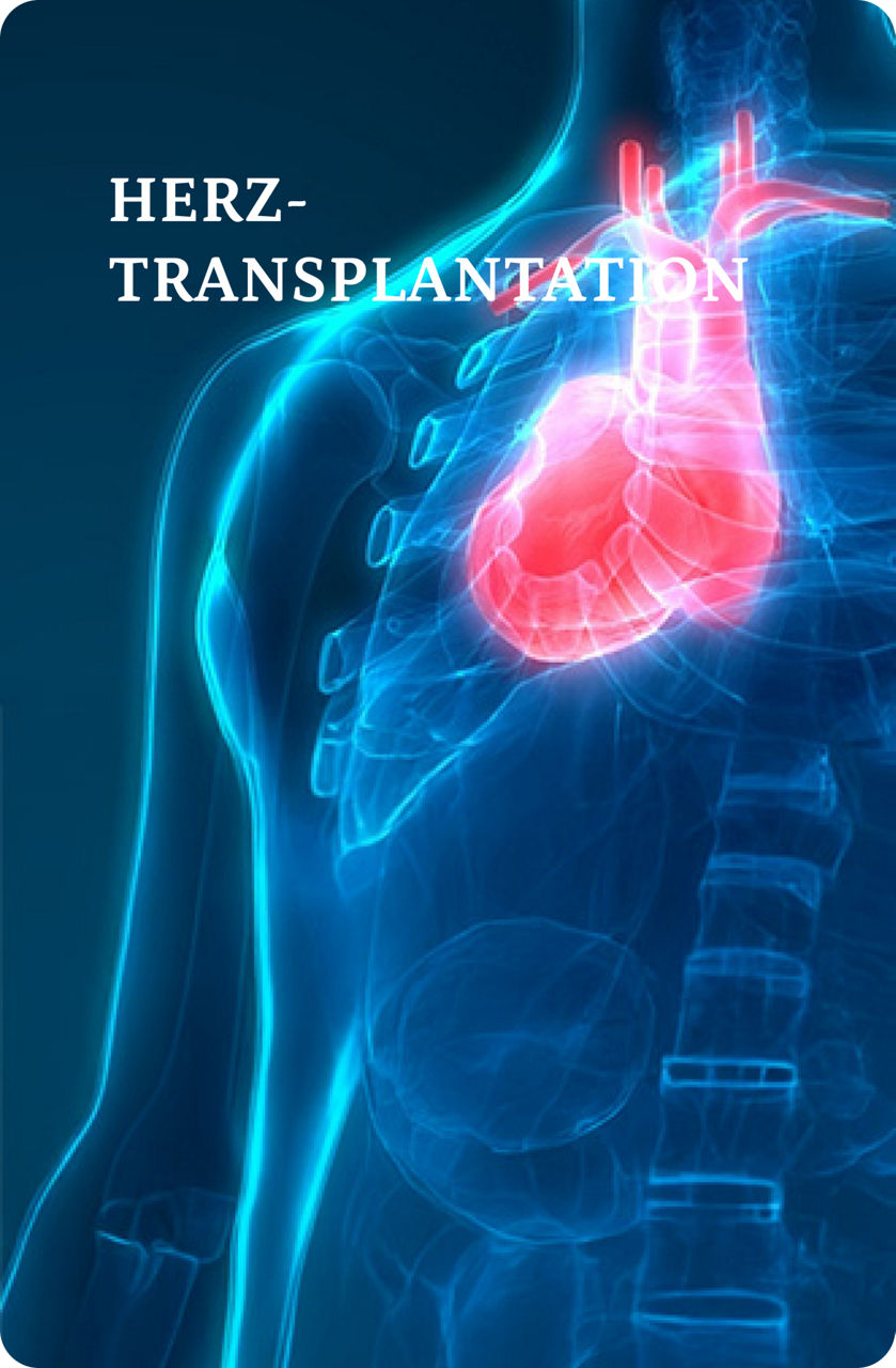 Illustration eines menschlichen Oberkörpers mit hervorgehobenem Herz und Brustkorb, die das Herz-Kreislauf-System in einem blauen und roten Farbschema zeigt.