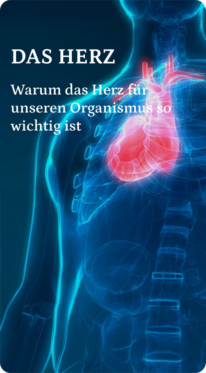 DAS HERZ