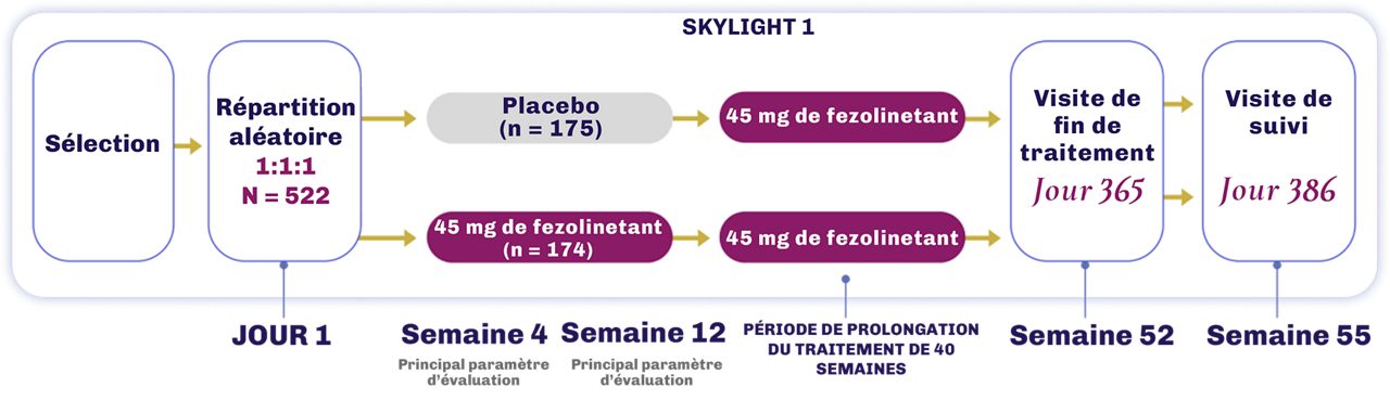 Plan des études SKYLIGHT 1 et 21-3 