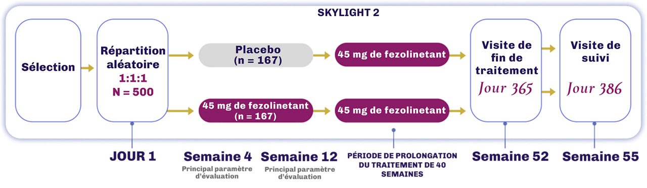  Plan des études SKYLIGHT 1 et 21-3 