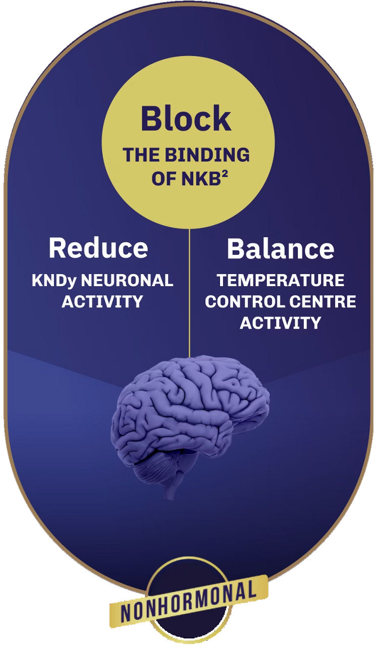Brain with captions: Block the binding of NKB, Reduce KNDy neuronal activity, and Balance temperature control centre activity