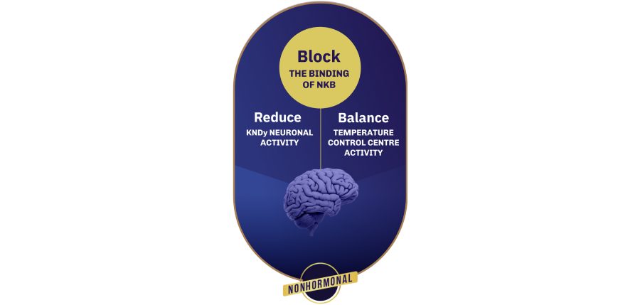 Brain with captions: Block the binding of NKB, Reduce KNDy neuronal activity, and Balance temperature control centre activity