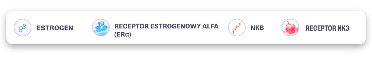 estrogen, receptor estrogenowy alfa, nkb, receptor nk3