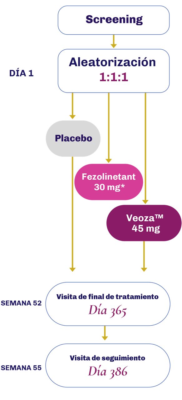 Diagrama que muestra el flujo del diseño del estudio en el que 1022 mujeres fueron tratadas con placebo o fezolinetant hasta la semana 12, después solo con fezolinetant durante 40 semanas no controladas