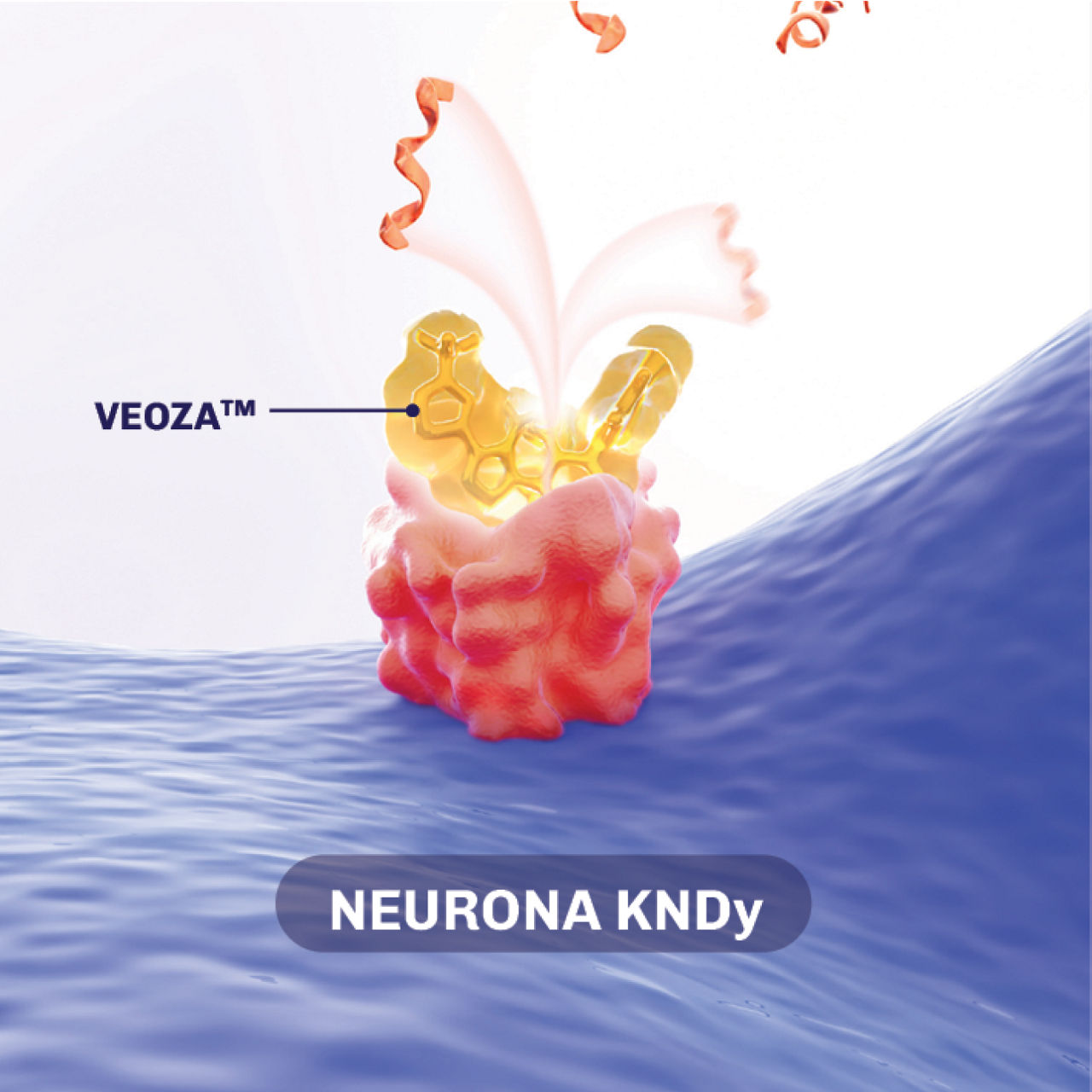 Ilustración que explica cómo VEOZA™ (fezolinetant) inhibe la unión de NKB a NK3R en la neurona KNDy