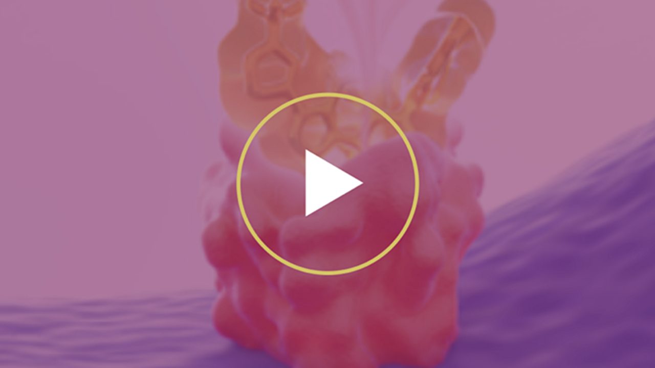  Play mechanism of action video