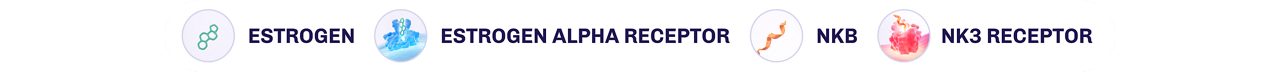 Estrogen, Estrogen alpha receptor, Neurokinin B, and Neurokinin 3 receptor icons