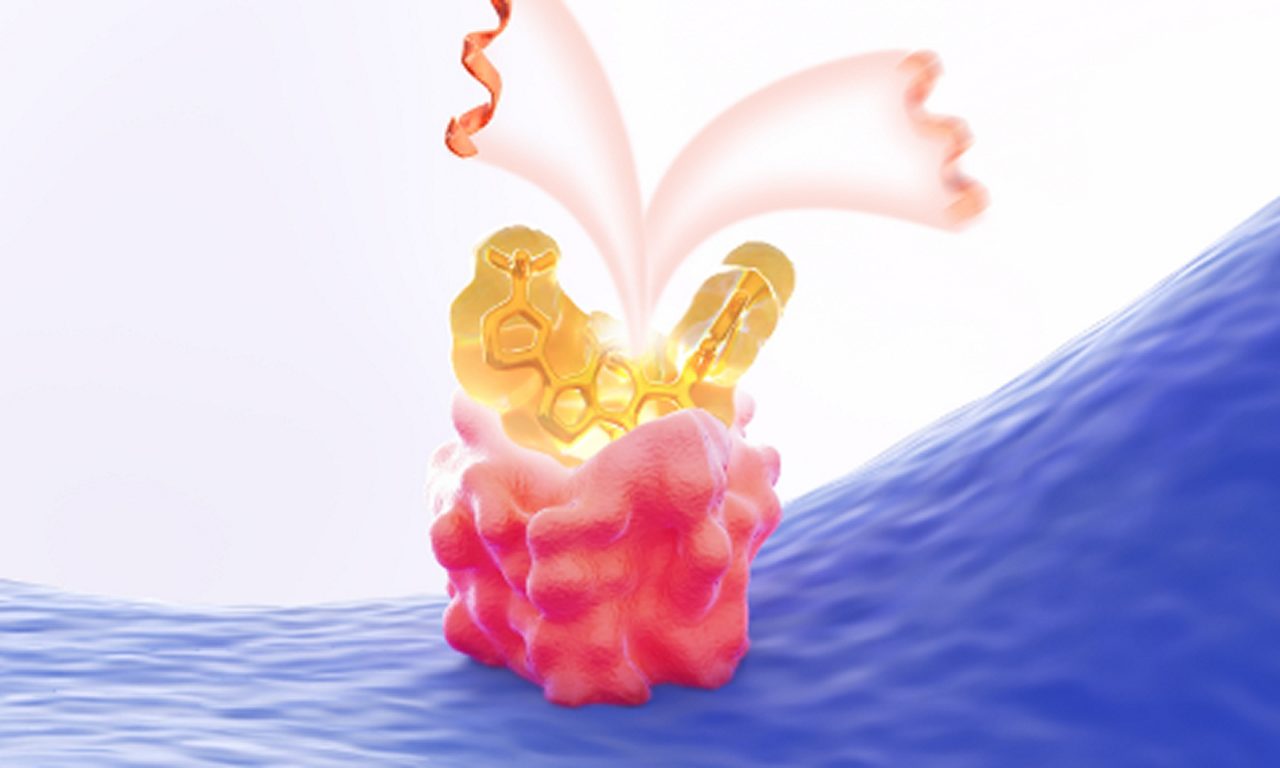 Mechanism of action video