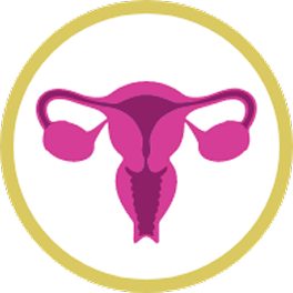 Endometrial safety icon