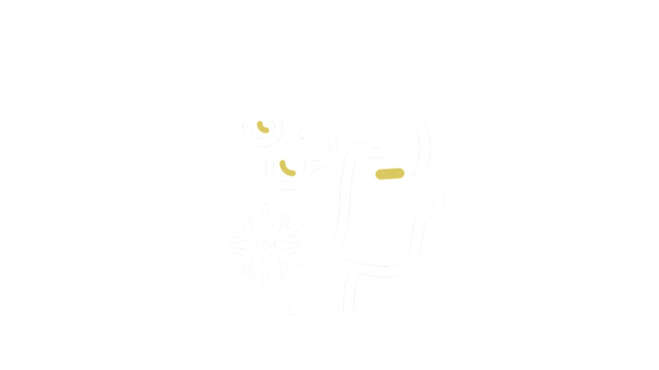 Sweating and chills icon