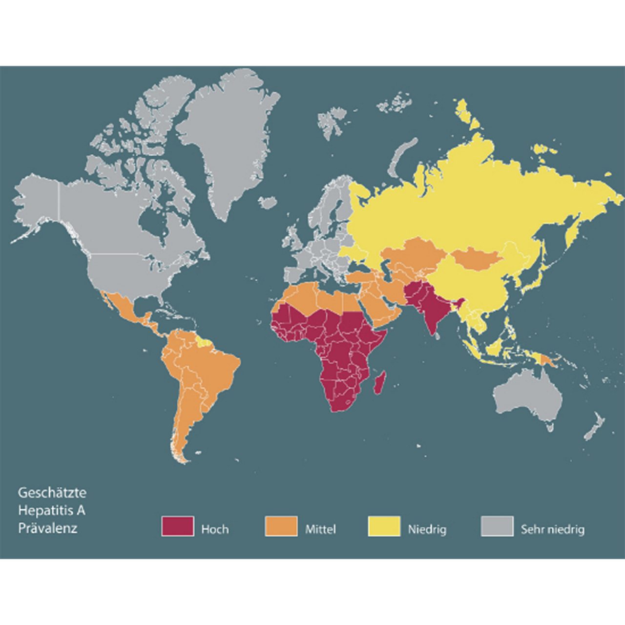 Verbreitung des Hepatitis A Virus