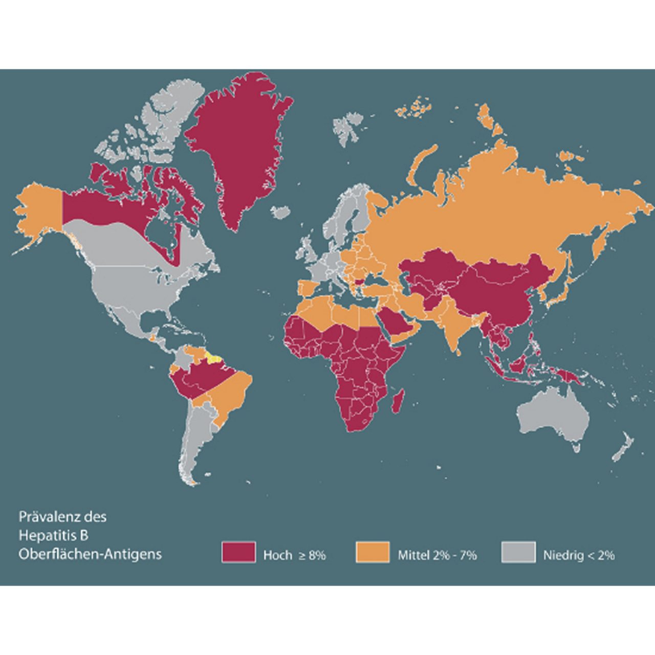 Verbreitung des Hepatitis B Virus 