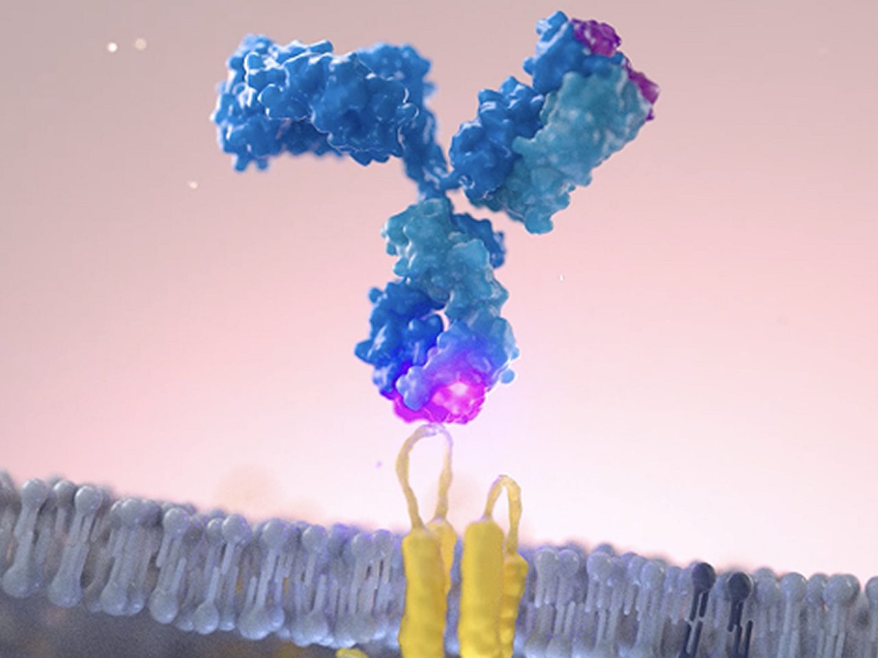 Video: Animation for proposed VYLOY mechanism of action