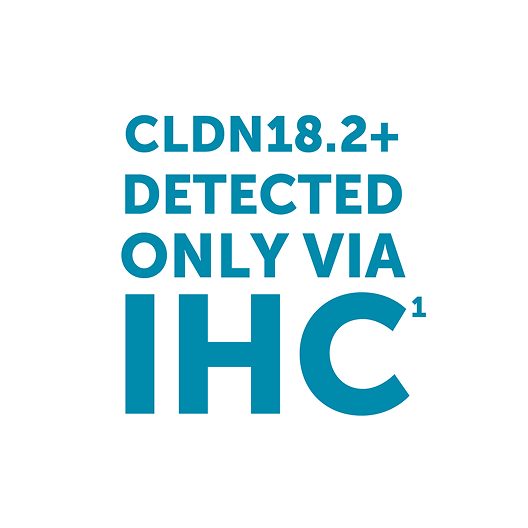 Image showing CLDN18.2 is only detectable via IHC
