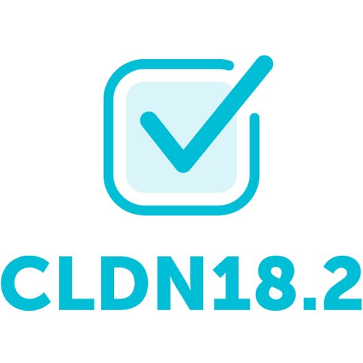 Illustration of a checked box above CLDN18.2