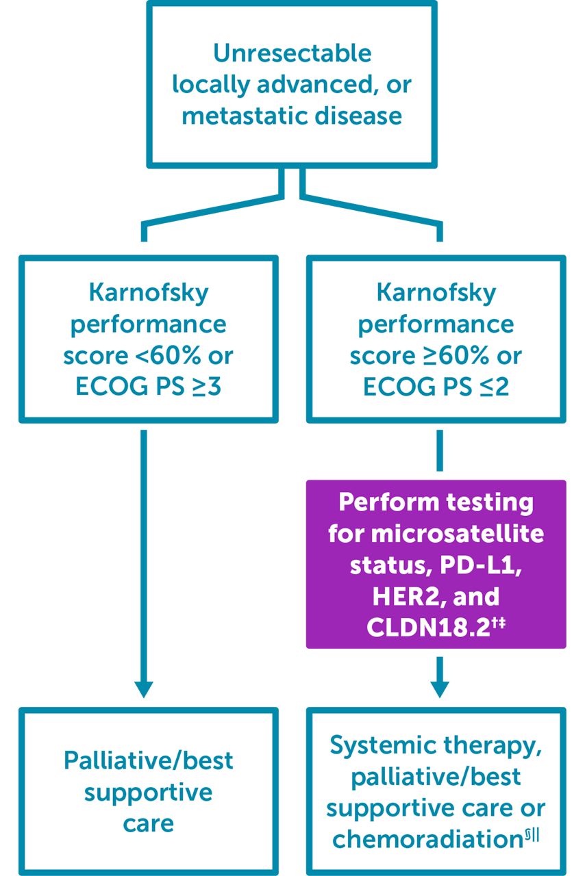 Diagram showing when to test for CLDN18.2 in locally advanced or metastatic gastric/GEJ adenocarcinoma