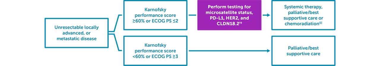 Diagram showing when to test for CLDN18.2 in locally advanced or metastatic gastric/GEJ adenocarcinoma