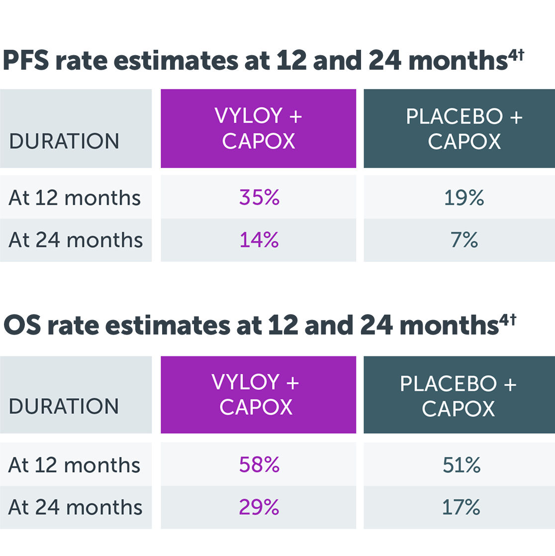 Chart showing progression-free survival and overall survival at 12 and 24 months