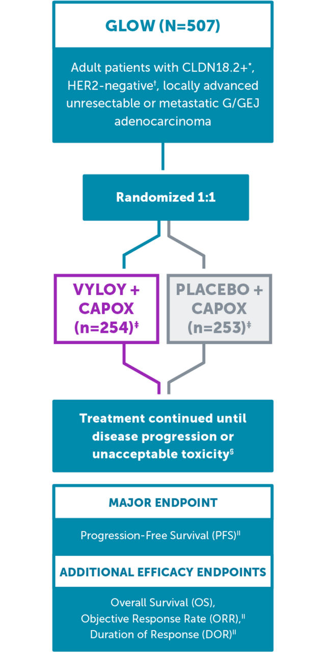 GLOW was a double-blind, randomized study that evaluated survival with VYLOY + CAPOX vs CAPOX alone1