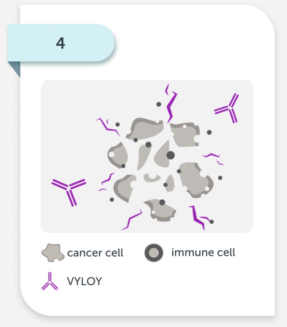 VYLOY helps the immune system to kill cancer cells
