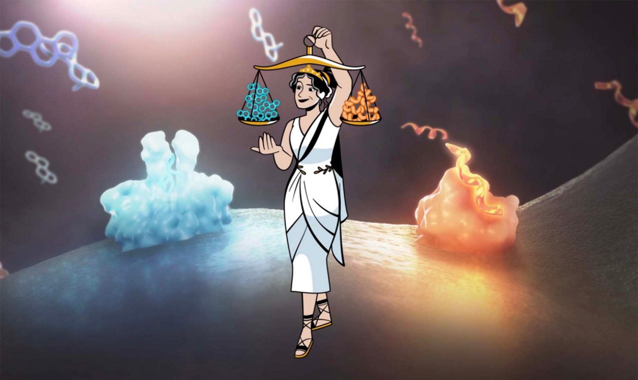 Om je temperatuur in balans te houden, vertrouwt je lichaam op een evenwicht tussen oestrogeen en een eiwit genaamd neurokinine B (NKB).