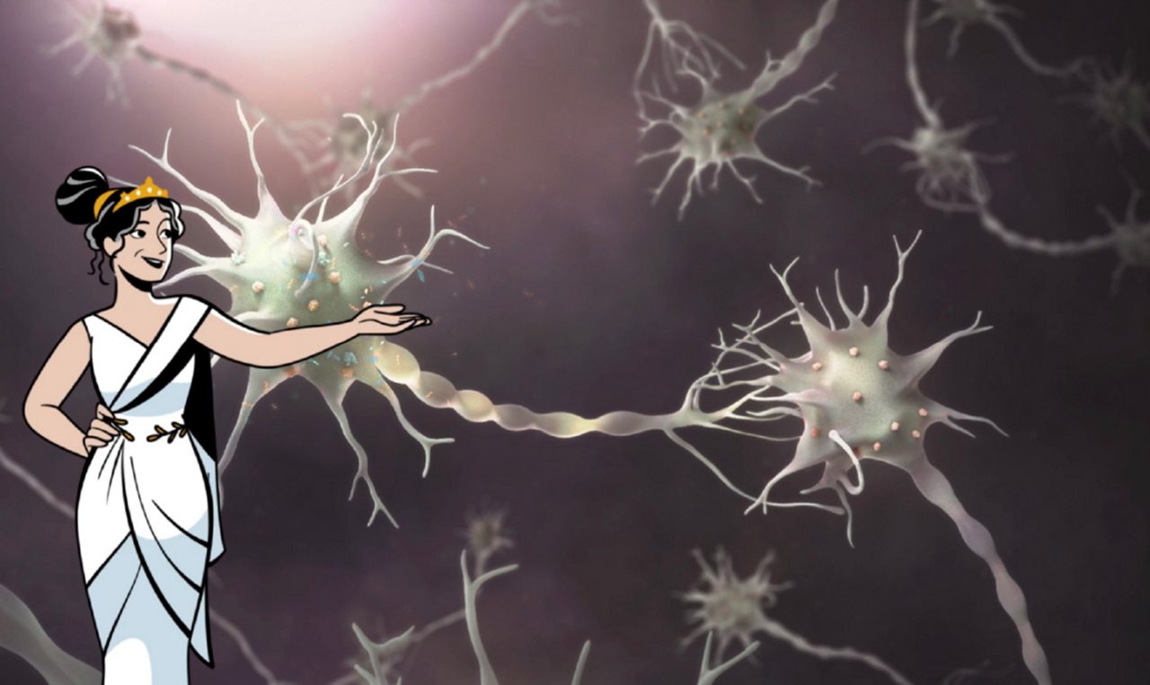 Dit zorgt ervoor dat je hypothalamus je lichaam vertelt dat je het warm hebt, terwijl dat niet zo is.