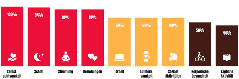 Selbstachtsamkeit 100%, Schlaf 94%, Stimmung 81%,  Beziehungen 81%, Arbeit 69%,  Aufmerksamkeit 69%, Soziale Aktivitäten 69%,  Körperliche Gesundheit 50%, Tägliche  Aktivität 44%
