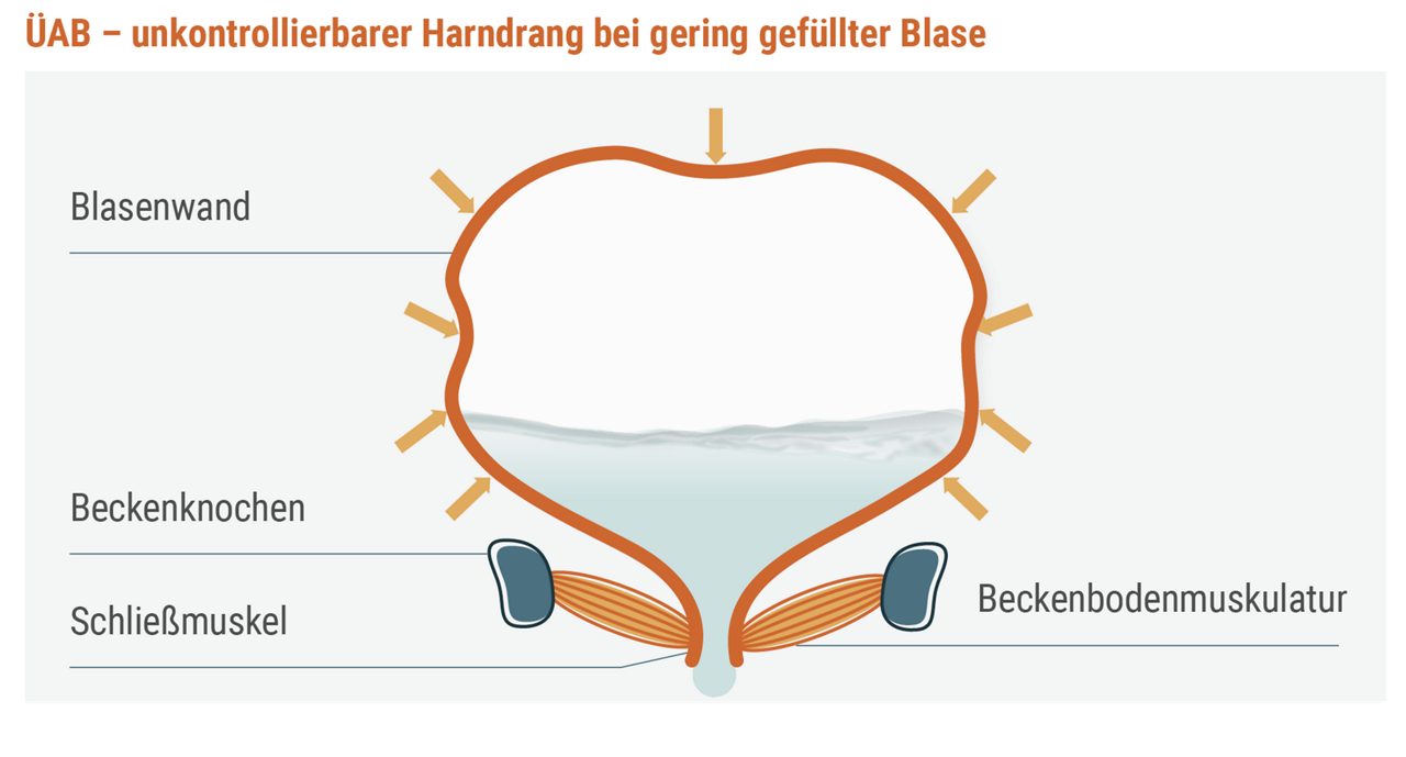 Verstehen_FilledBadder_Image
