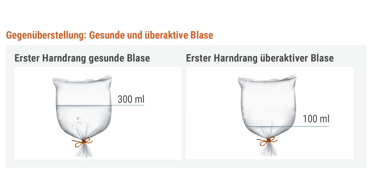 Verstehen_BladderDifference_Image