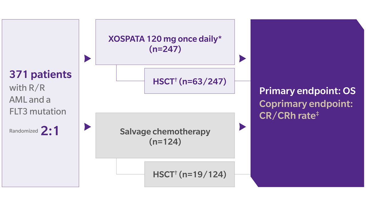 ADMIRAL Trial study design.